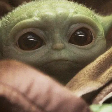 Profile image of Master Yoda