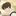 구찬영