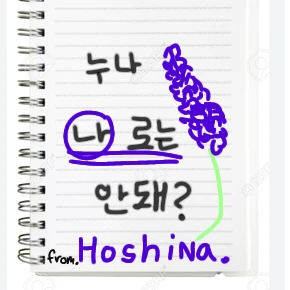 호시나 소우시로