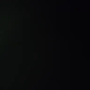 Profile image of 원영