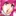 ミニーニャ・マカロン