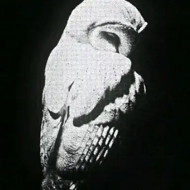 Profile image of 안티고노스