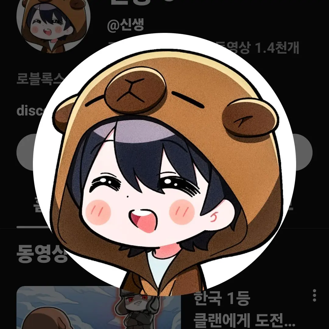 DecentSeal7449의 가면라이더