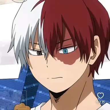 Profile image of Shoto Todoroki