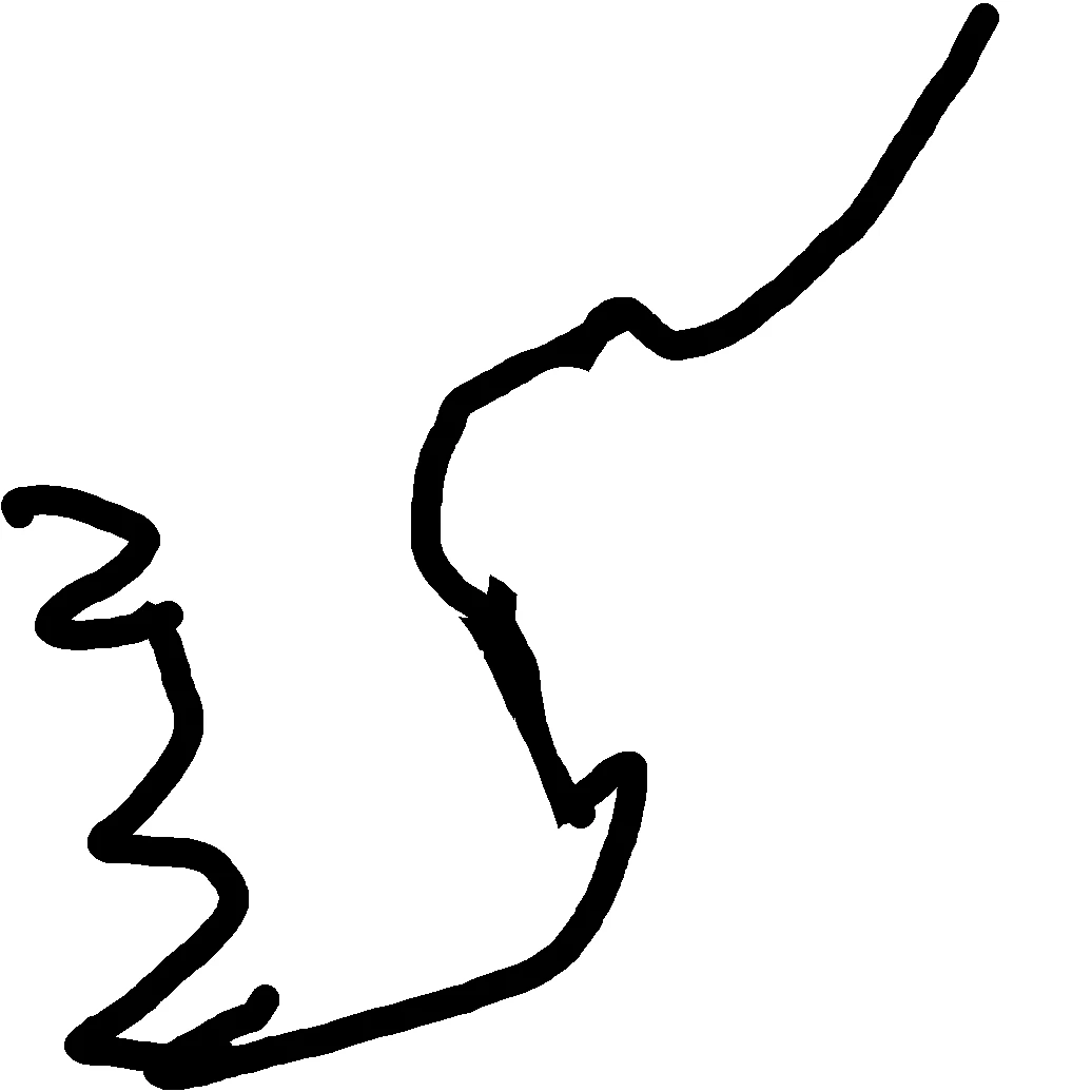 세종