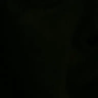 Profile image of 면재현