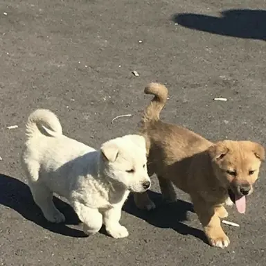 Profile image of 우타리