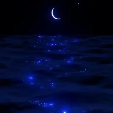 Profile image of 若井滉斗