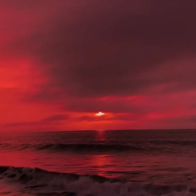 PoliteCrate0009의 問題児と学園生活