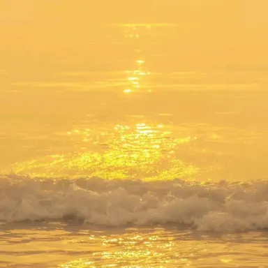 Profile image of 藤澤涼架