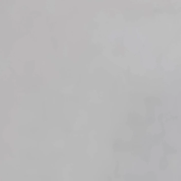 박성화