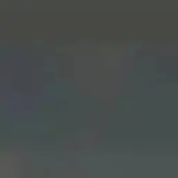 Profile image of 이진희