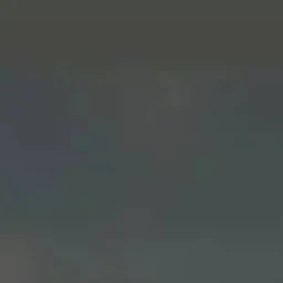 이진희