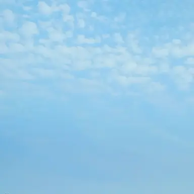 Profile image of 집주인