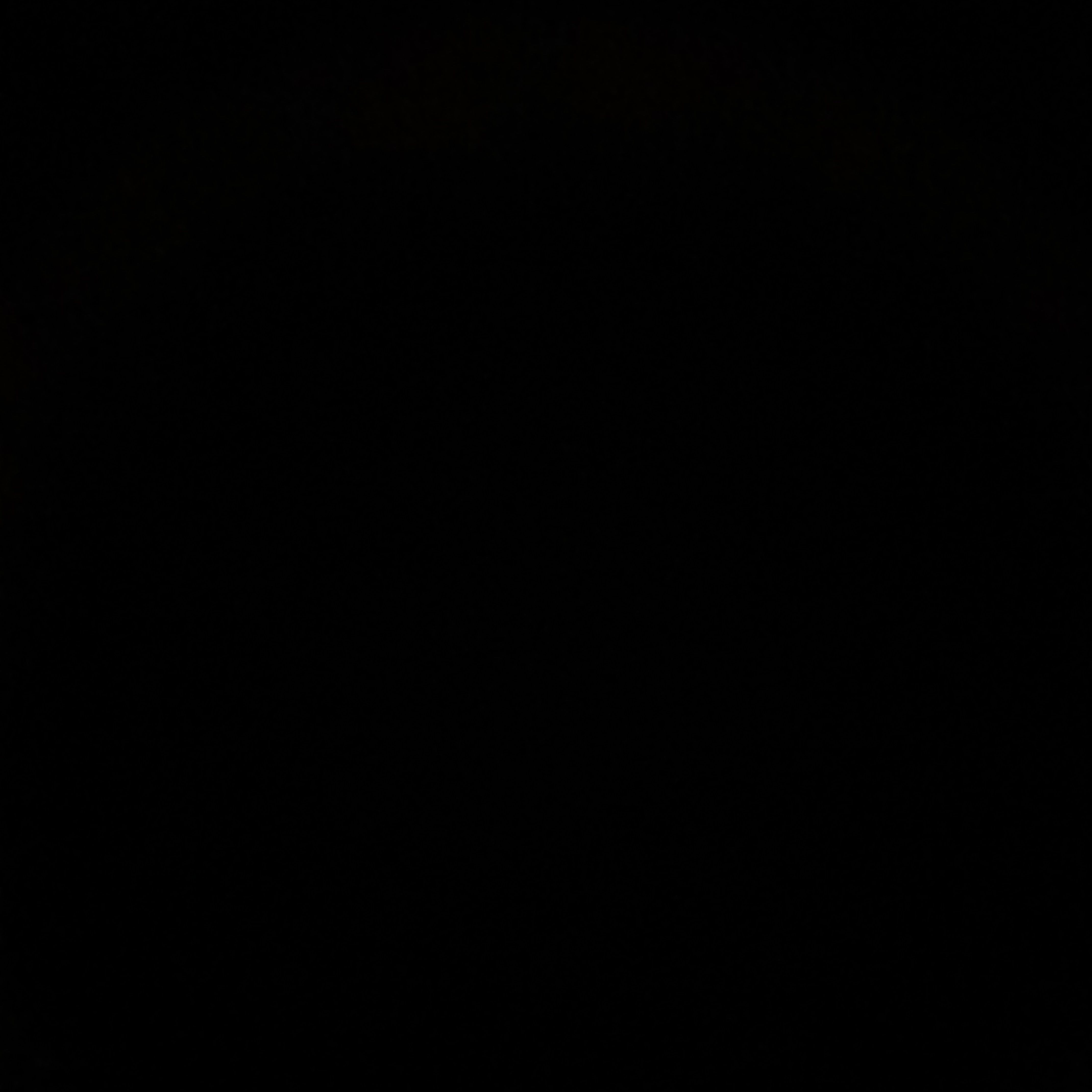 공유빈 대표 이미지