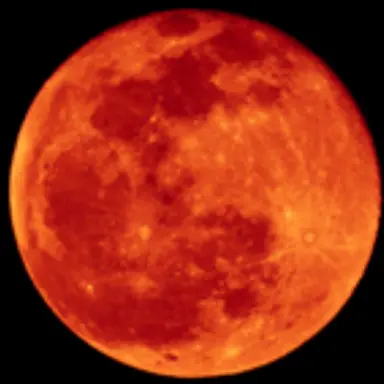 Profile image of Shunta Sono