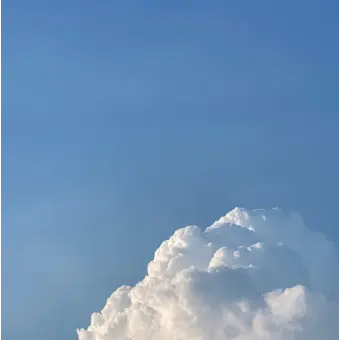 Profile image of 홍챠
