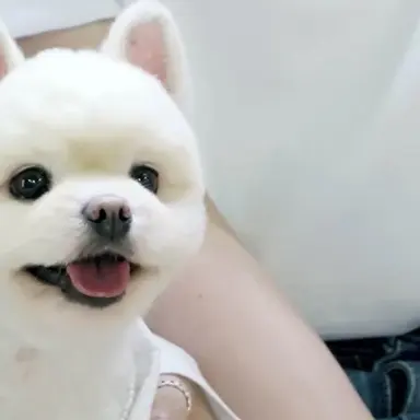 Profile image of テバク