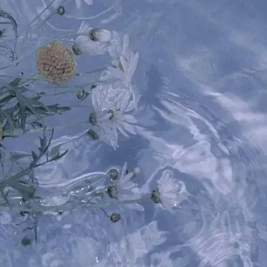 Profile image of なおきり