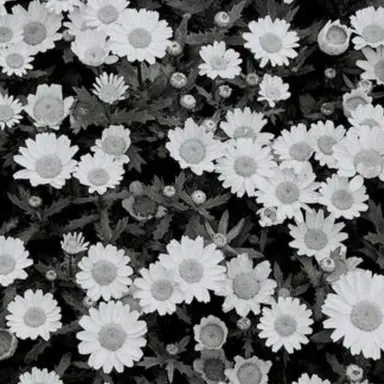 Profile image of ヒロ