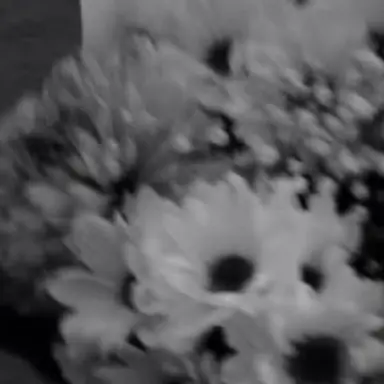 Profile image of うり