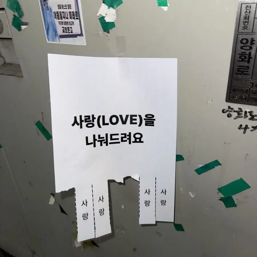 YJS103971의 유하람