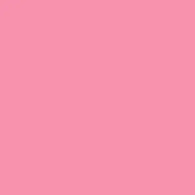 Profile image of RabbitPrincess