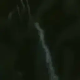 Profile image of 꽃도령