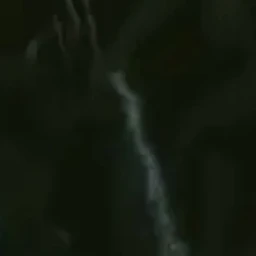 꽃도령