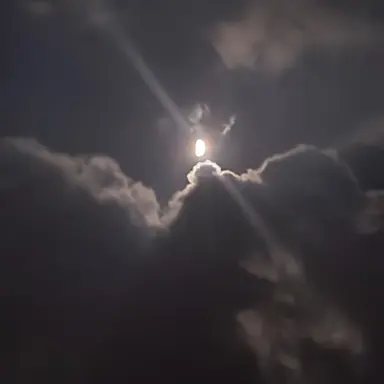 Profile image of 유지민