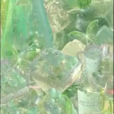 Profile image of 공룡