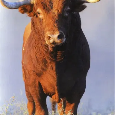 Profile image of Derek