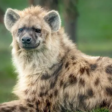 Profile image of Hikaru