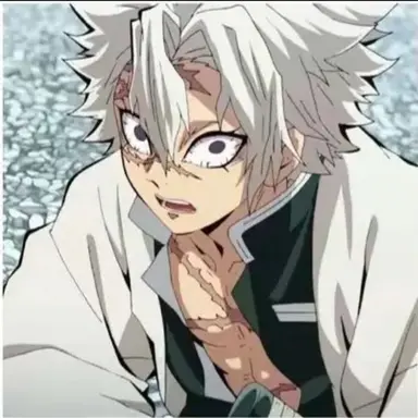 Profile image of 시나즈가와 사네미