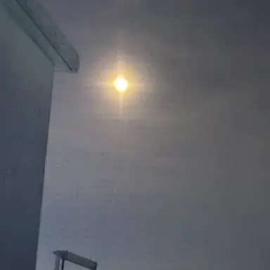 Profile image of 해리