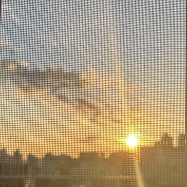 Profile image of 고탱