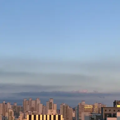 Profile image of 디투