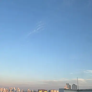 Profile image of 우디