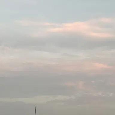 Profile image of 성희