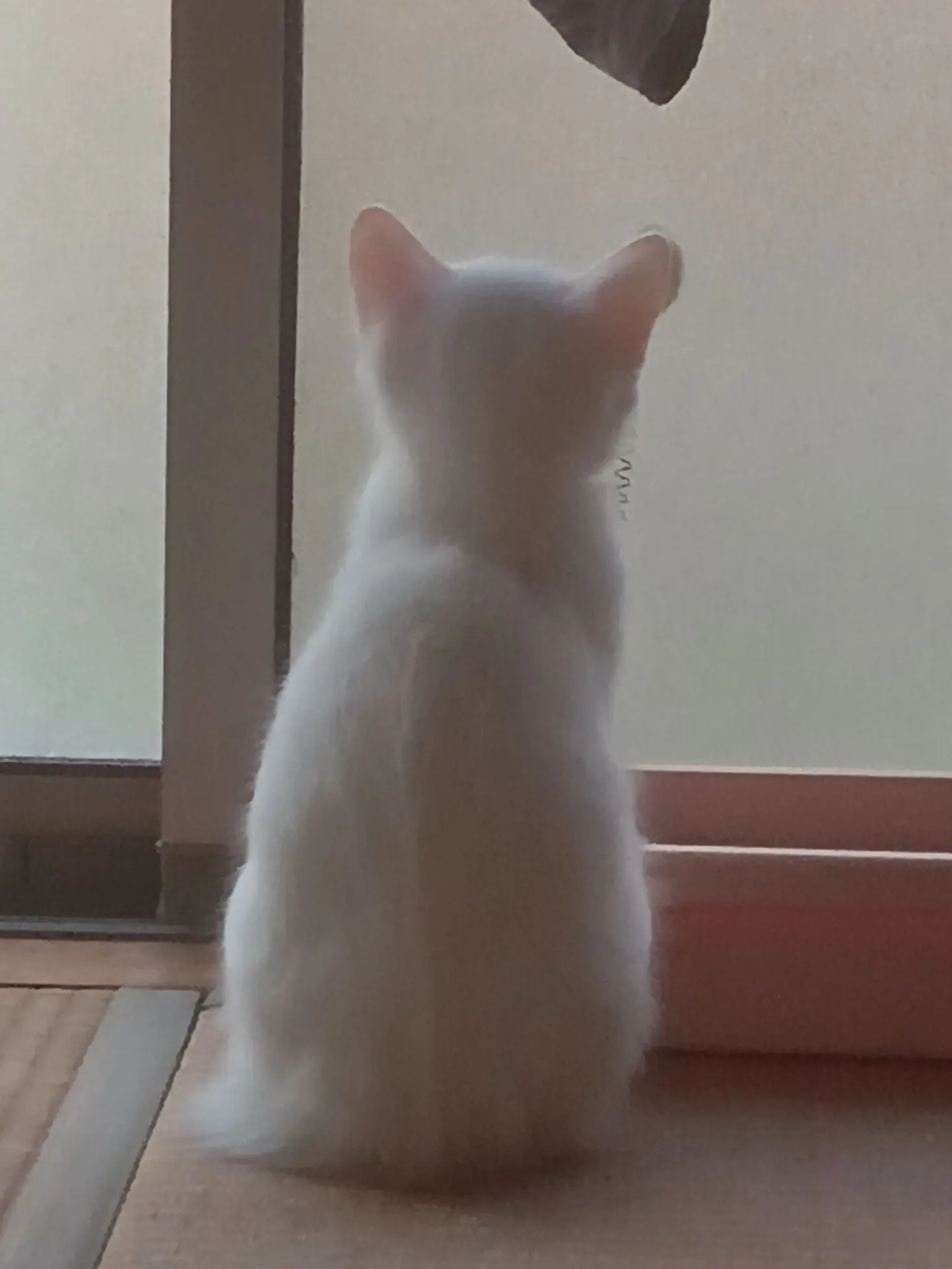 Ayuka020894의 クズがクズに弱愛？！！