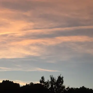 Profile image of 布川あゆむ