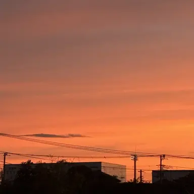 Profile image of 飯田心莉