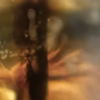 Profile image of 콜리