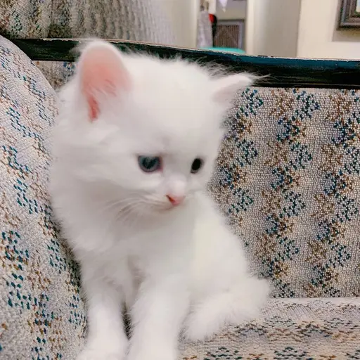0719의 뭉치