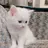 뭉치