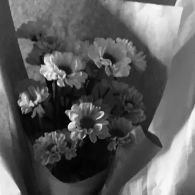 Profile image of 정형준