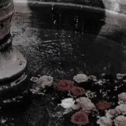Profile image of 善法寺 伊作