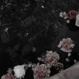 Profile image of 立花 仙蔵