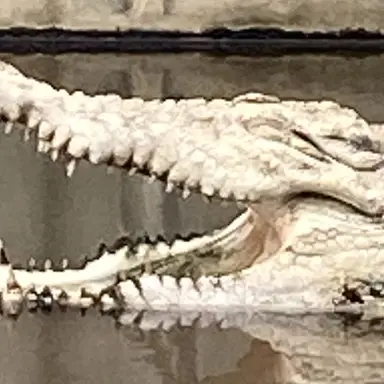 Profile image of モブ子1