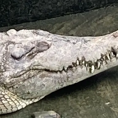 Profile image of モブ子2